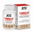 STC Nutrition Tribulus Synergy+ 90pcs