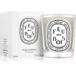 Diptyque Feu de Bois Candle  