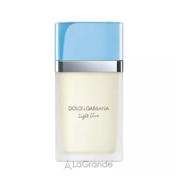 Dolce & Gabbana Light Blue pour Femme  Eau de Toilette 2025 �������� ���� (������)
