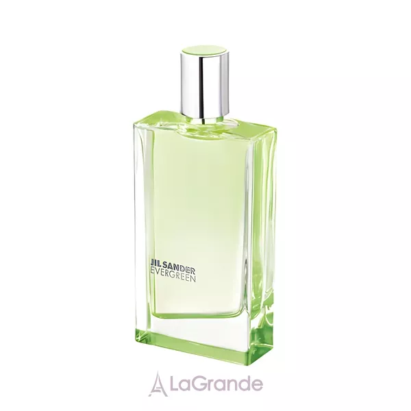 Jil Sander Evergreen �������� ���� (������)