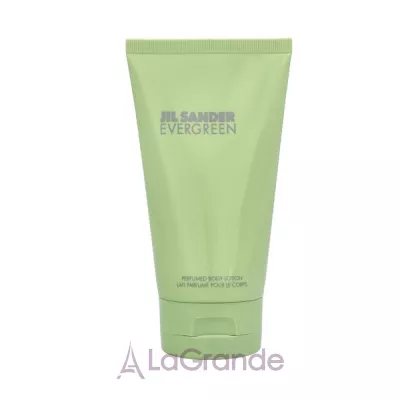 Jil Sander Evergreen   