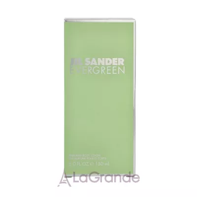 Jil Sander Evergreen   
