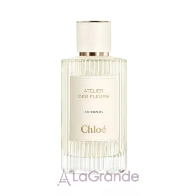 Chloe Atelier Des Fleurs Cedrus ��������������� ���� (TRY)