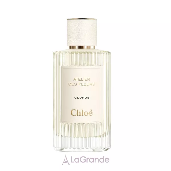 Chloe Atelier Des Fleurs Cedrus ��������������� ���� (TRY)