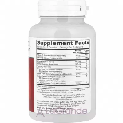 Protocol for Life Balance Ortho Focus         