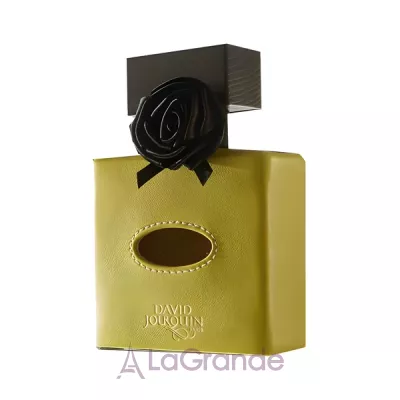 David Jourquin Cuir Solaire  