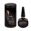 Lomani Secret Girl 100ml