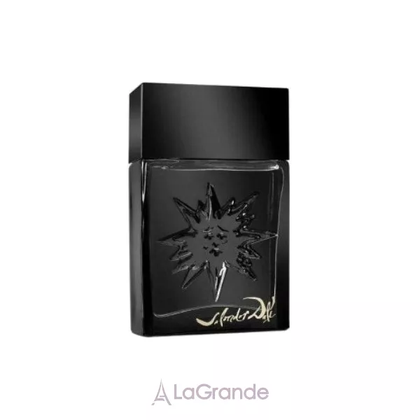 Salvador Dali Black Sun ��������� ����