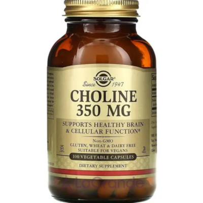 Solgar Choline 350 mg ĳ  