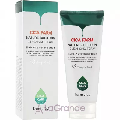 ֲ FarmStay Cica Farm Nature Solution Cleansing Foam ϳ     