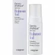La Biosthetique Dermosthetique Skin Care Hyaluronic Acid Hydrating Cleansing Foam     