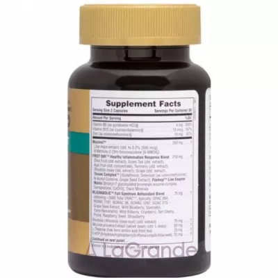 NaturesPlus  AgeLoss Mood Support    