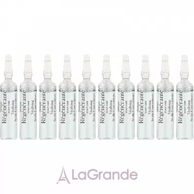 La Biosthetique Methode Regenerante Vitalising Scalp Concentrate     