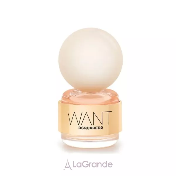 DSquared2 Want �����  (��������������� ���� 50 �� + ����������)