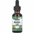 Nature's Answer Mullein Leaf 2000 mg   