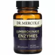 Dr. Mercola Lumbrokinase Enzymes ĳ  