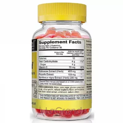 Mason Natural Elderberry With Echinacea&Propolis   