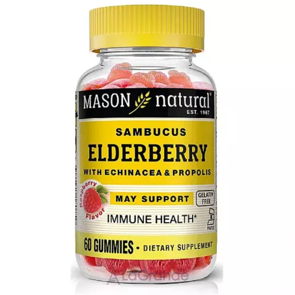 Mason Natural Elderberry With Echinacea&Propolis ����������� ������� 