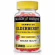 Mason Natural Elderberry With Echinacea&Propolis   