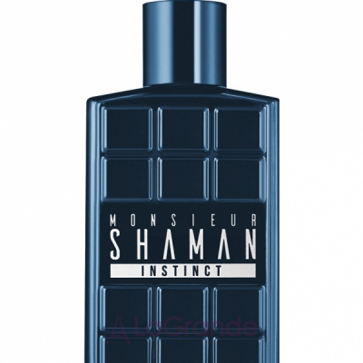 Arno Sorel Shaman Monsieur Instinct   ()