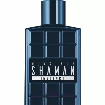 Arno Sorel Shaman Monsieur Instinct   ()