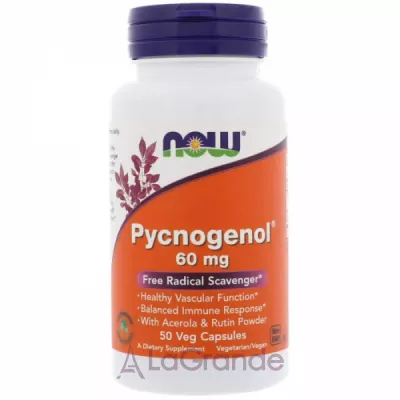 Now Foods Pycnogenol 60 mg ĳ  