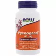 Now Foods Pycnogenol 60 mg ĳ  