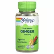 Solaray Ginger Root 1100 mg ĳ  