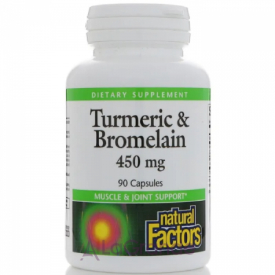 Natural Factors Turmeric & Bromelain 450 mg   