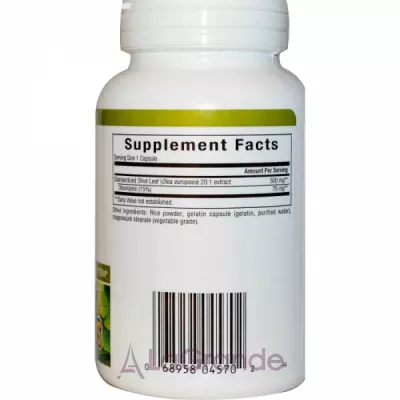 Natural Factors Olive Leaf 500 mg ĳ  