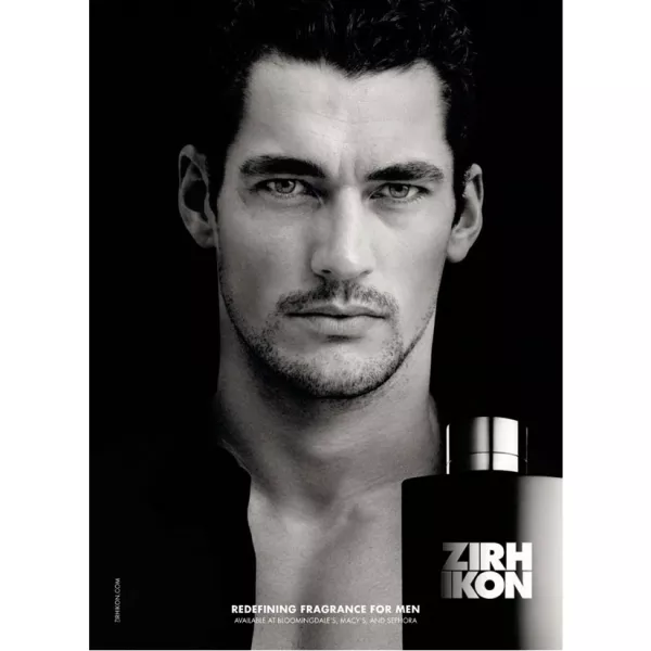 Zirh Ikon ��������� ����