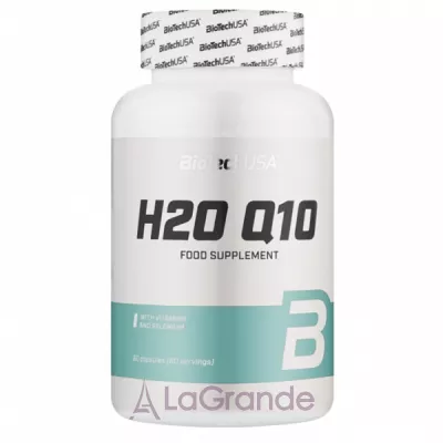 BioTech USA H2O Q10   