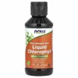 Now Foods Liquid Chlorophyll Extra Strenght Mint ĳ  