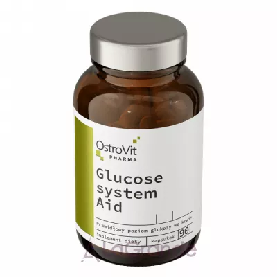 OstroVit Glucose System Aid        