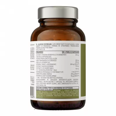 OstroVit Glucose System Aid        