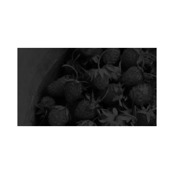 Carner Barcelona Rose & Dragon ����������� ����