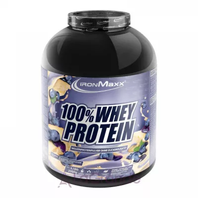IronMaxx 100% Whey Protein Blueberry Cheesecake   