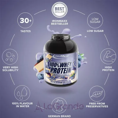 IronMaxx 100% Whey Protein Blueberry Cheesecake   