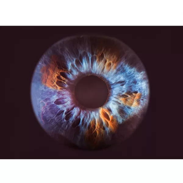 Olfactive Studio Close Up ��������������� ����