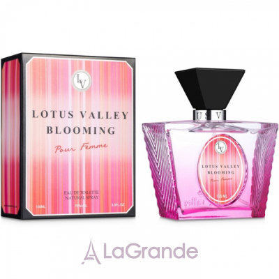 Lotus Valley Blooming  