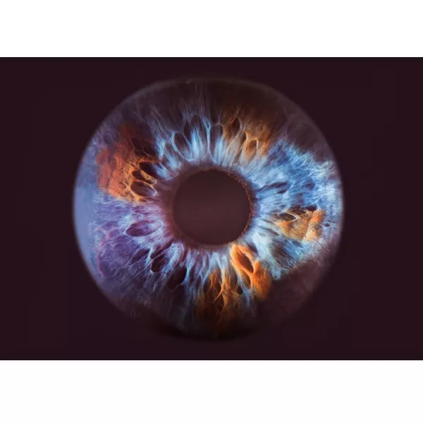 Olfactive Studio Close Up ��������������� ���� (������)