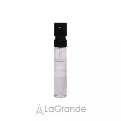 Ajmal Evoke Midnight Edition for Her  