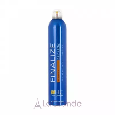 Hairconcept Finalize Instantanium Hair Spray     