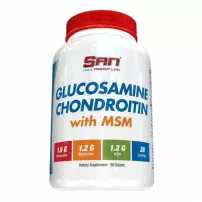SAN Glucosamine Chondroitin with MSM ������� ������� "���������� ���������� � ���"