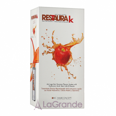 HairConcept Restaura K Kit Maintenance Frizzy Hair  