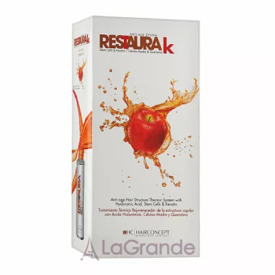 HairConcept Restaura K Kit Maintenance Frizzy Hair  