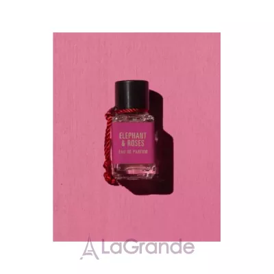 Maria Candida Gentile Elephant & Roses  