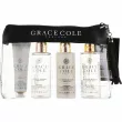 Grace Cole Nectarine Blossom & Grapefruit Travel Set  