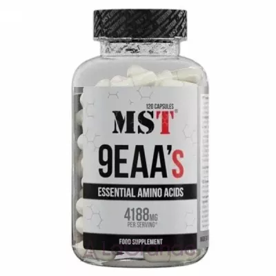 MST 9EAAs �������� ���������� 9EAAs