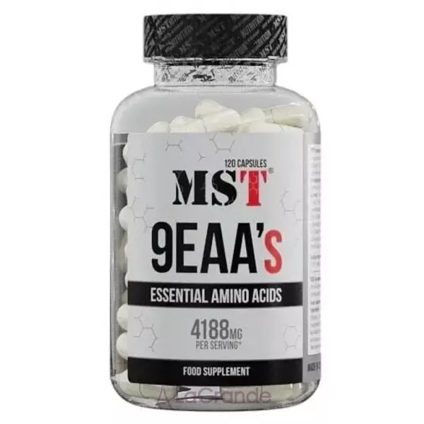 MST 9EAAs �������� ���������� 9EAAs
